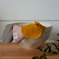 Cloth/Wipes